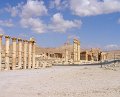 039. Palmyra 3